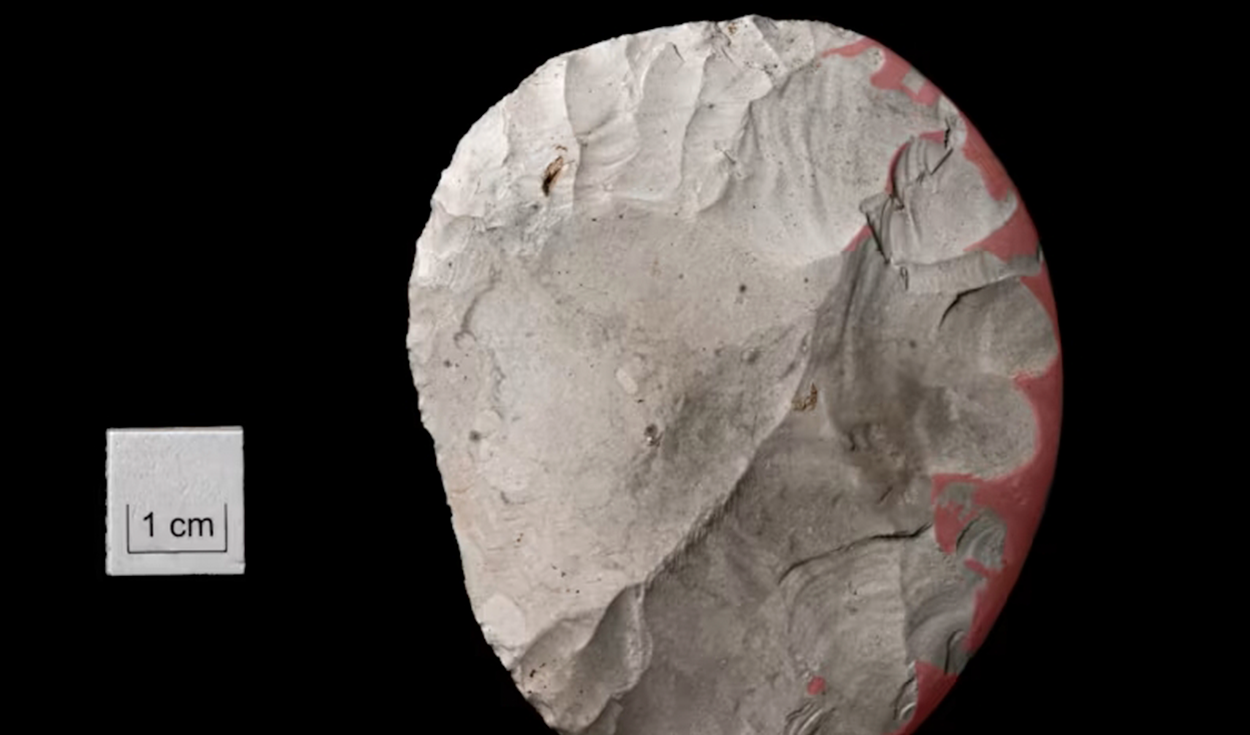 En el yacimiento también se encontró un cuchillo de sílex con forma de disco. Foto: Wessex Archaeology En el yacimiento también se encontró un cuchillo de sílex con forma de disco.