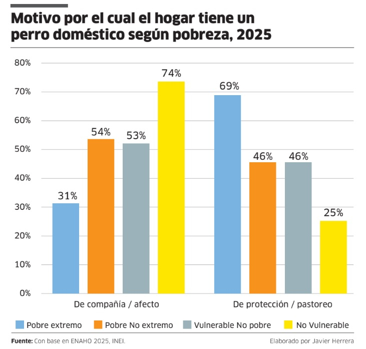 Los motivos para tener una mascota Mascotas en hogares