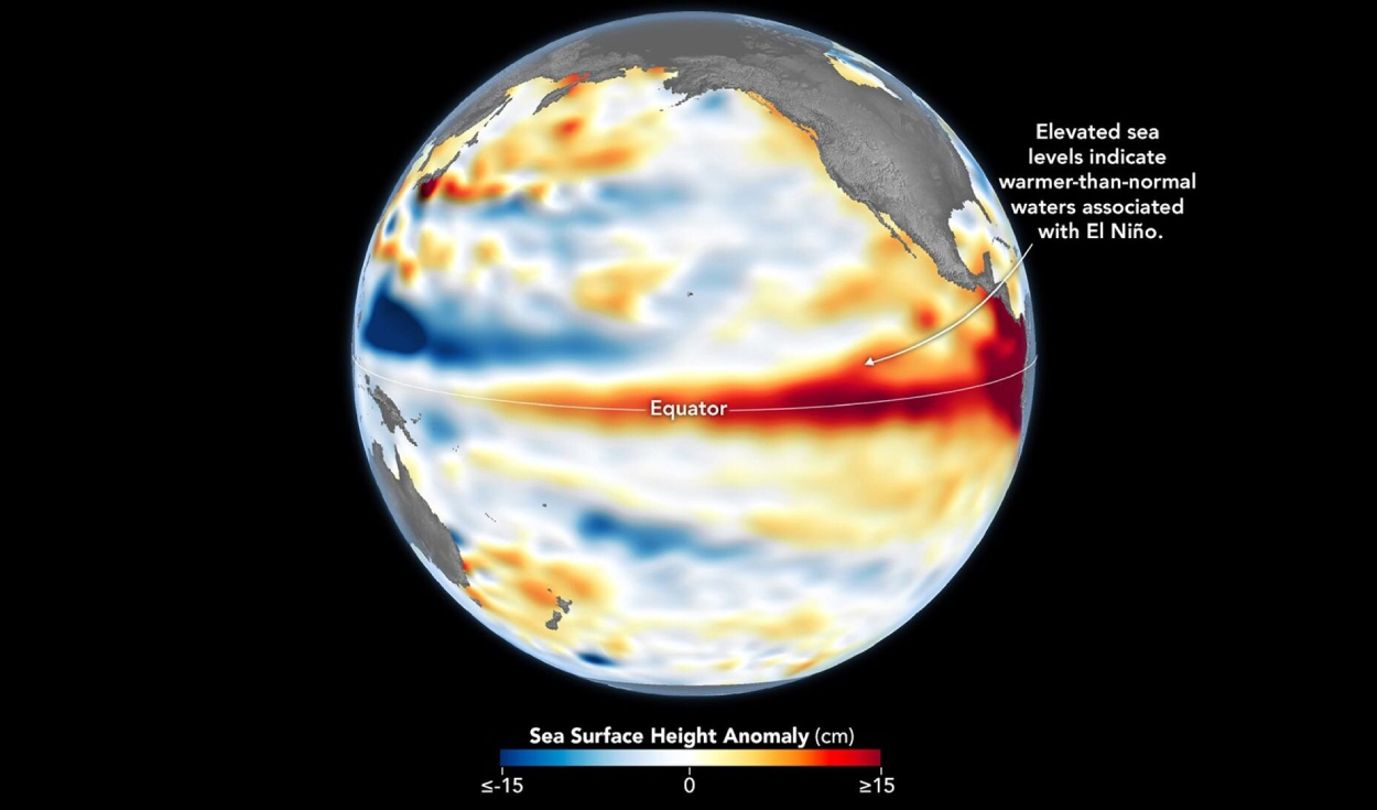 El 8 de junio de 2026, pocos días antes de la declaración de El Niño, se observan niveles del mar superiores a lo normal (en rojo) en el Pacífico central y oriental. Foto: NASA/Lauren Dauphin