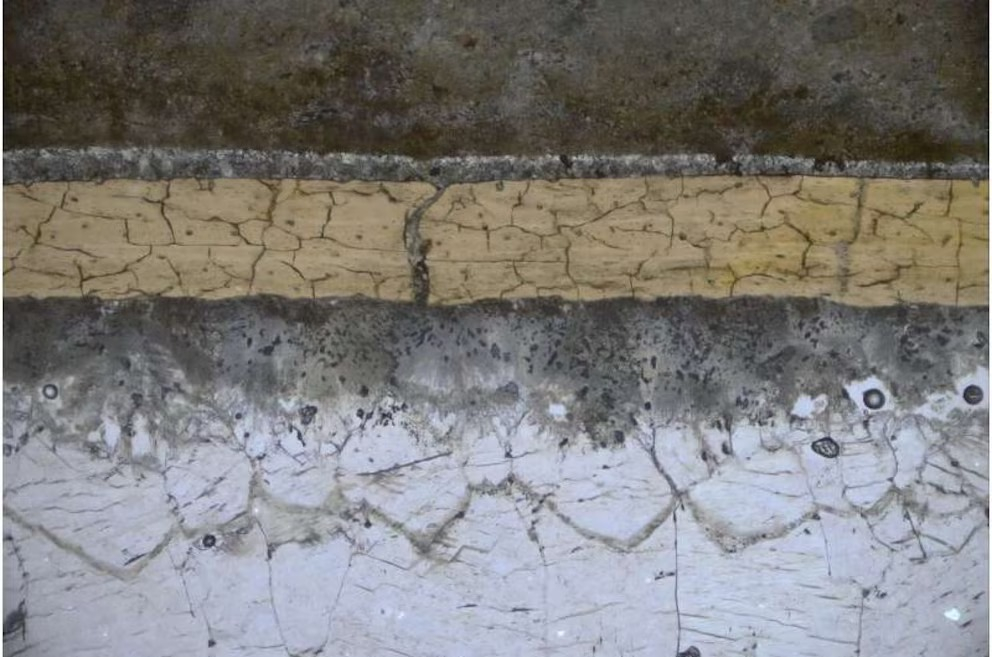 Corte fósil de pterosaurio al microscopio: se aprecian las capas minerales y el recubrimiento de carbono. Foto: Grice et al., iScience