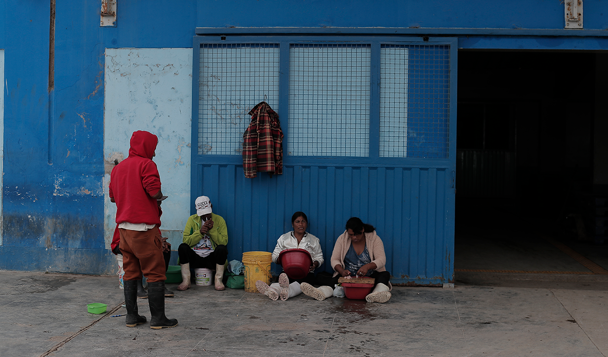 Trabajadores del puerto de San Andrés, en Pisco. Los pescadores artesanales respaldan la prohibición de la pesca industrial en áreas naturales protegidas. | Foto: Marco Cotrina / La República