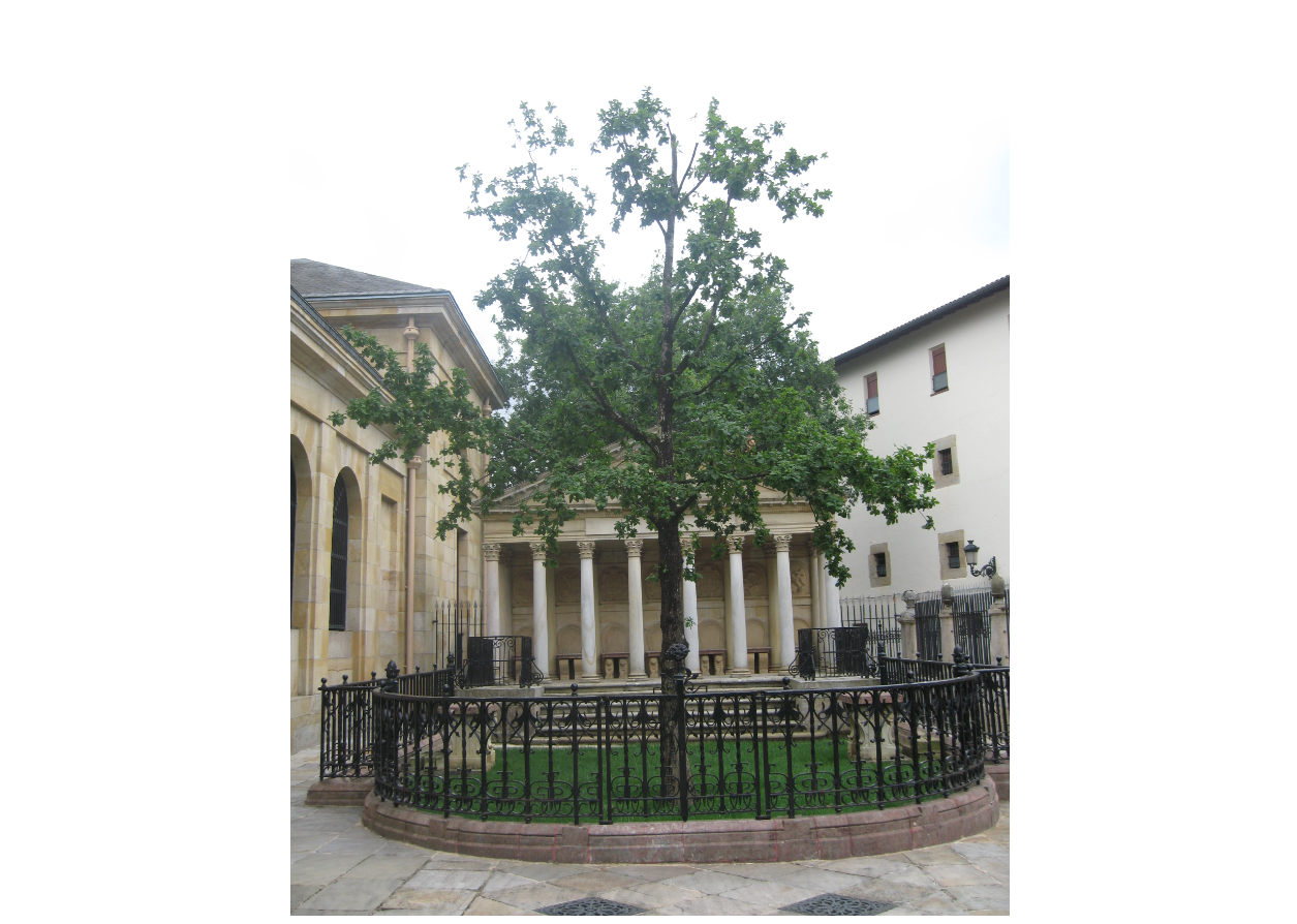 El árbol de Guernica. 2012. Fuente: Wikipedia.