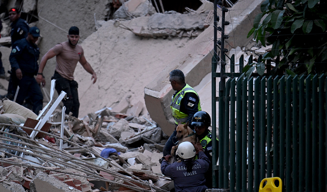 Un perro fue rescatado de un edificio derrumbado tras el terremoto en Caracas. Foto: AFP