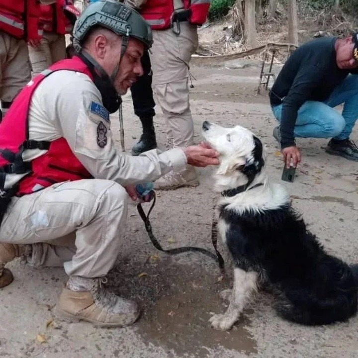 El rescatista Jorge Beens junto al perro Tsunami. Foto: @ksar_ecid/Instagram