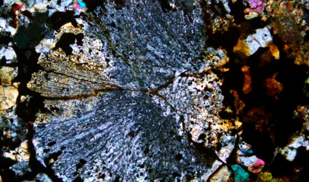 Cóndrulo de piroxeno radial formado en el meteorito de Maryborough. Foto: PRSV