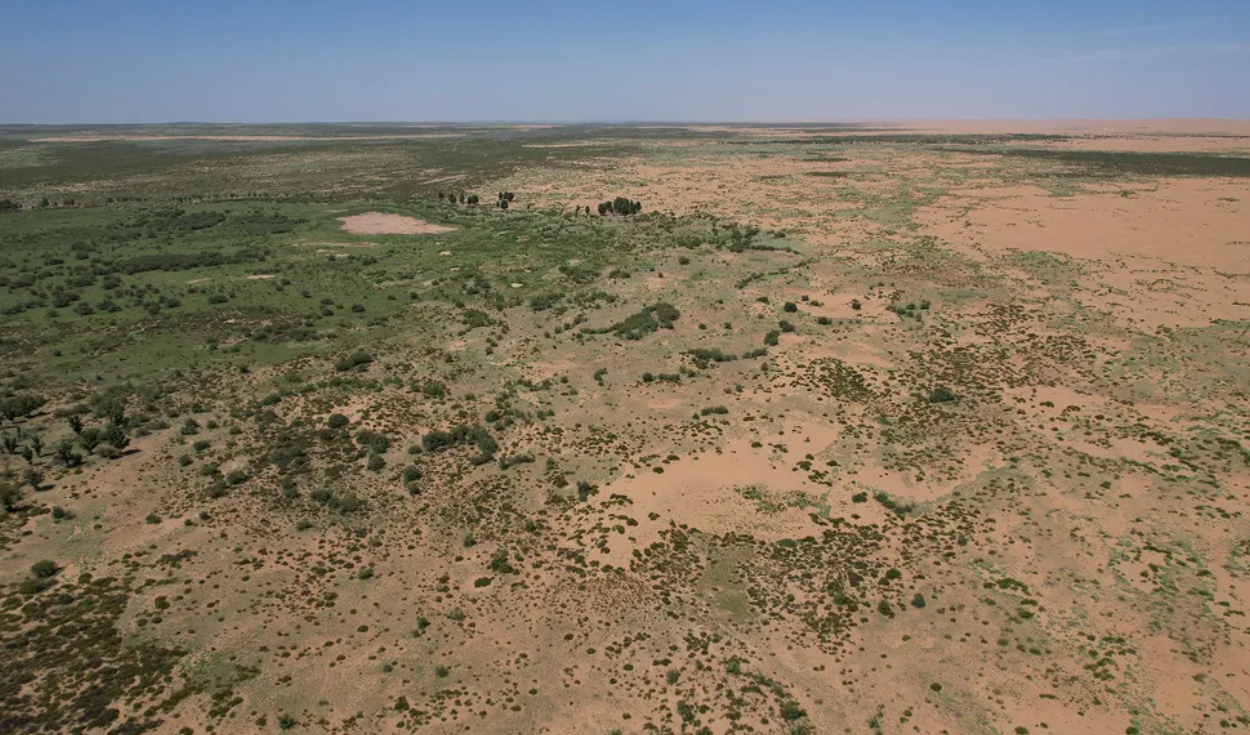 Vista aérea de la Gran Muralla Verde de China, un proyecto gigantesco diseñado para frenar la expansión de los desiertos de Gobi y Taklamakan. Foto: Pedro Pardo