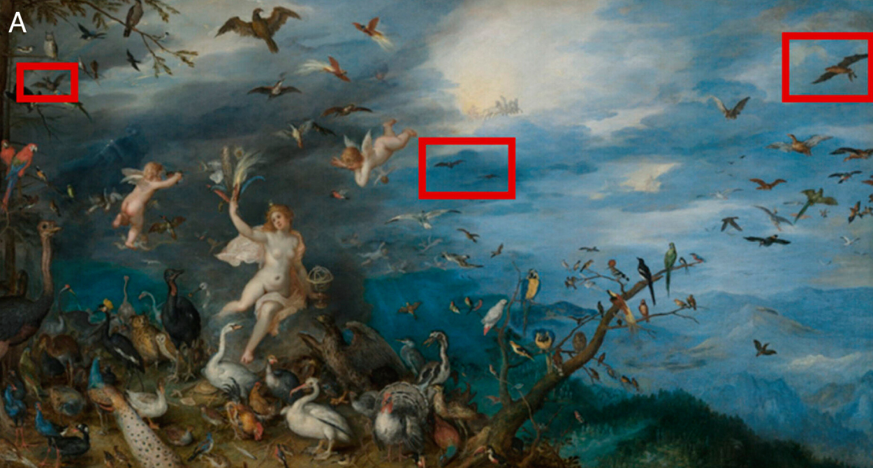 En el lienzo se aprecian diversas especies de aves e incluso murciélagos. Foto: PNAS