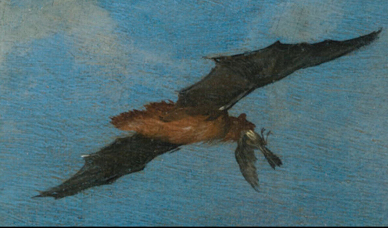 Los científicos descubrieron un murciélago que sujetaba un pájaro pequeño con la boca. Foto: PNAS