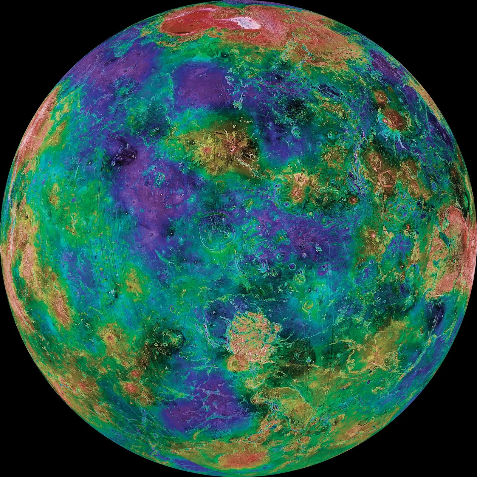 Mapa topográfico de Venus bajo nubes por datos de Magallanes. Violeta indica zonas bajas; rojo, los Montes Maxwell. Foto: NASA/JPL/Instituto Tecnológico de California