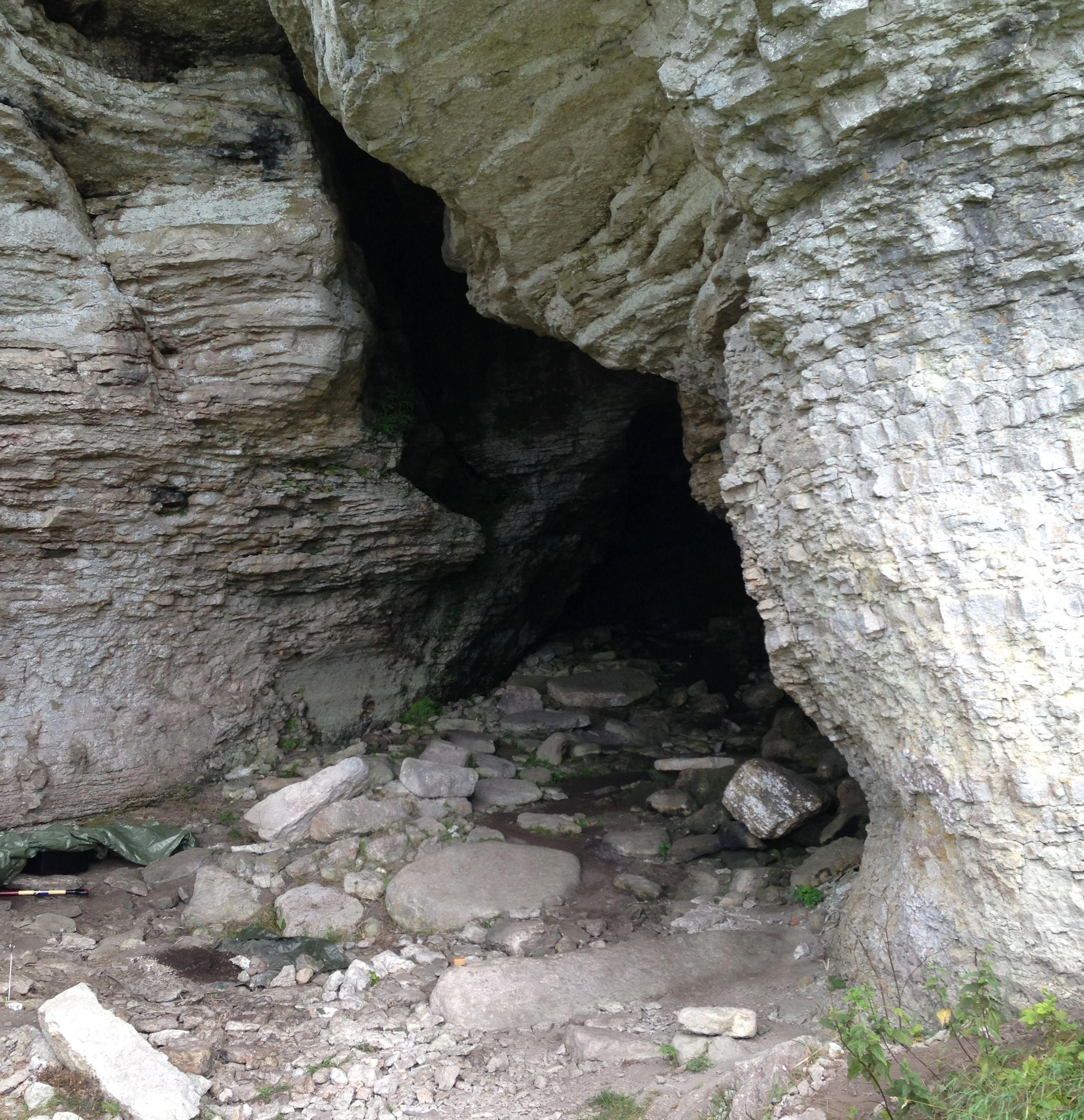 Entrada a la cueva de Stora Förvar en la isla de Stora Karlsö. Foto: Jan Storå/Universidad de Estocolmo