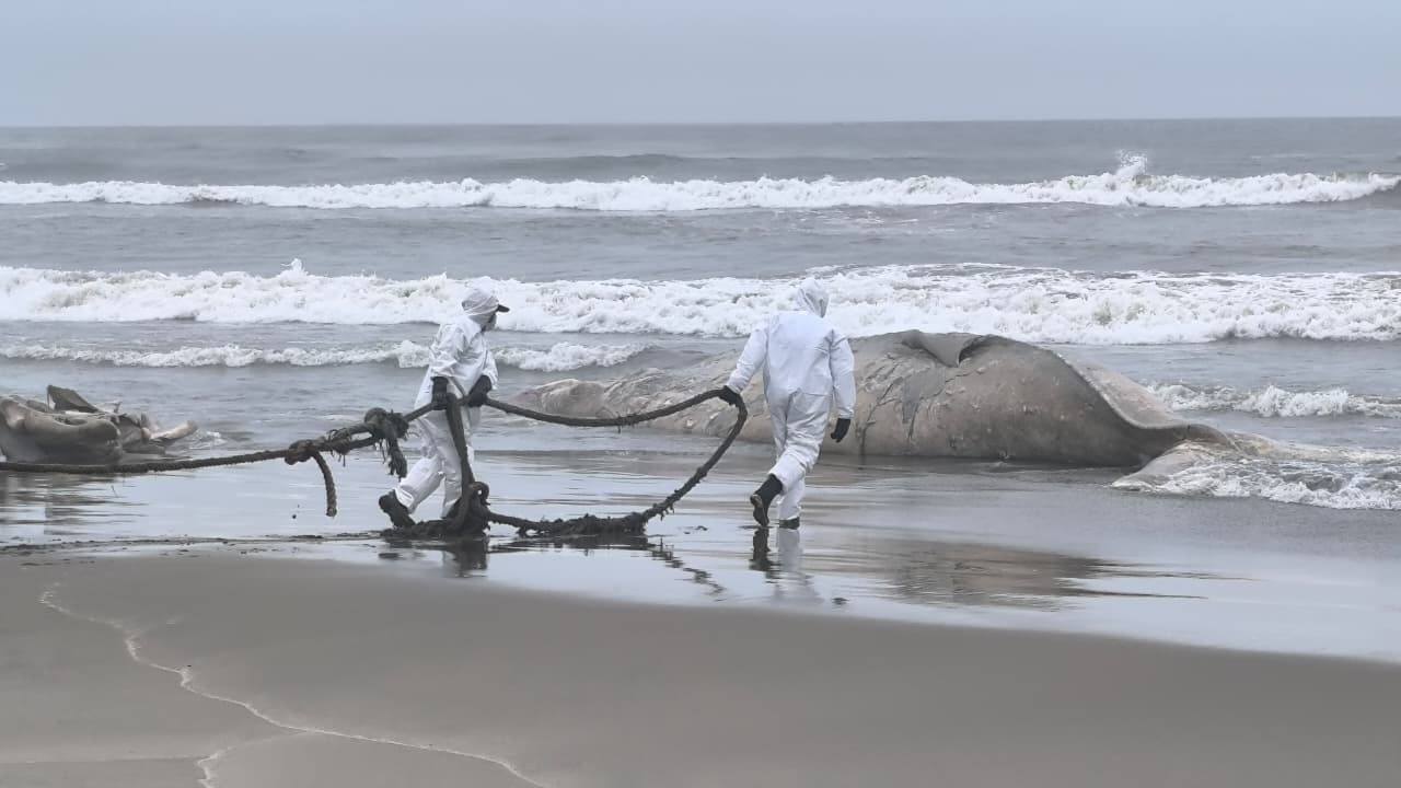 Autoridades intentando extraer el cadáver en la playa San José