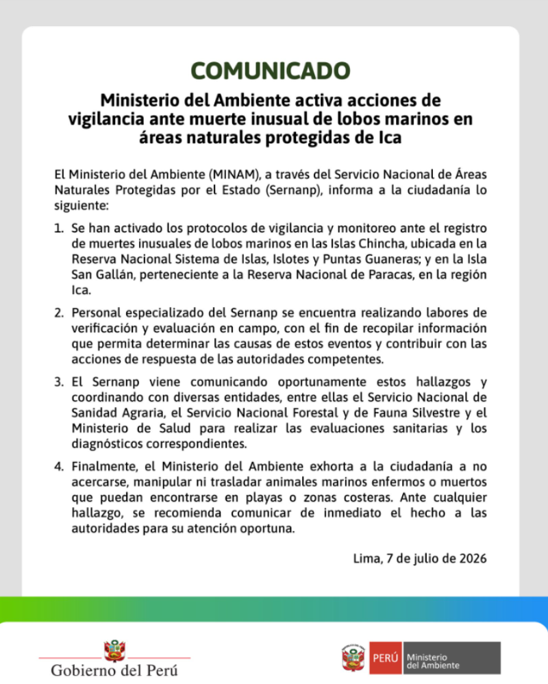 Sernanp, Ministerio del Ambiente, lobos marinos muertos Ica