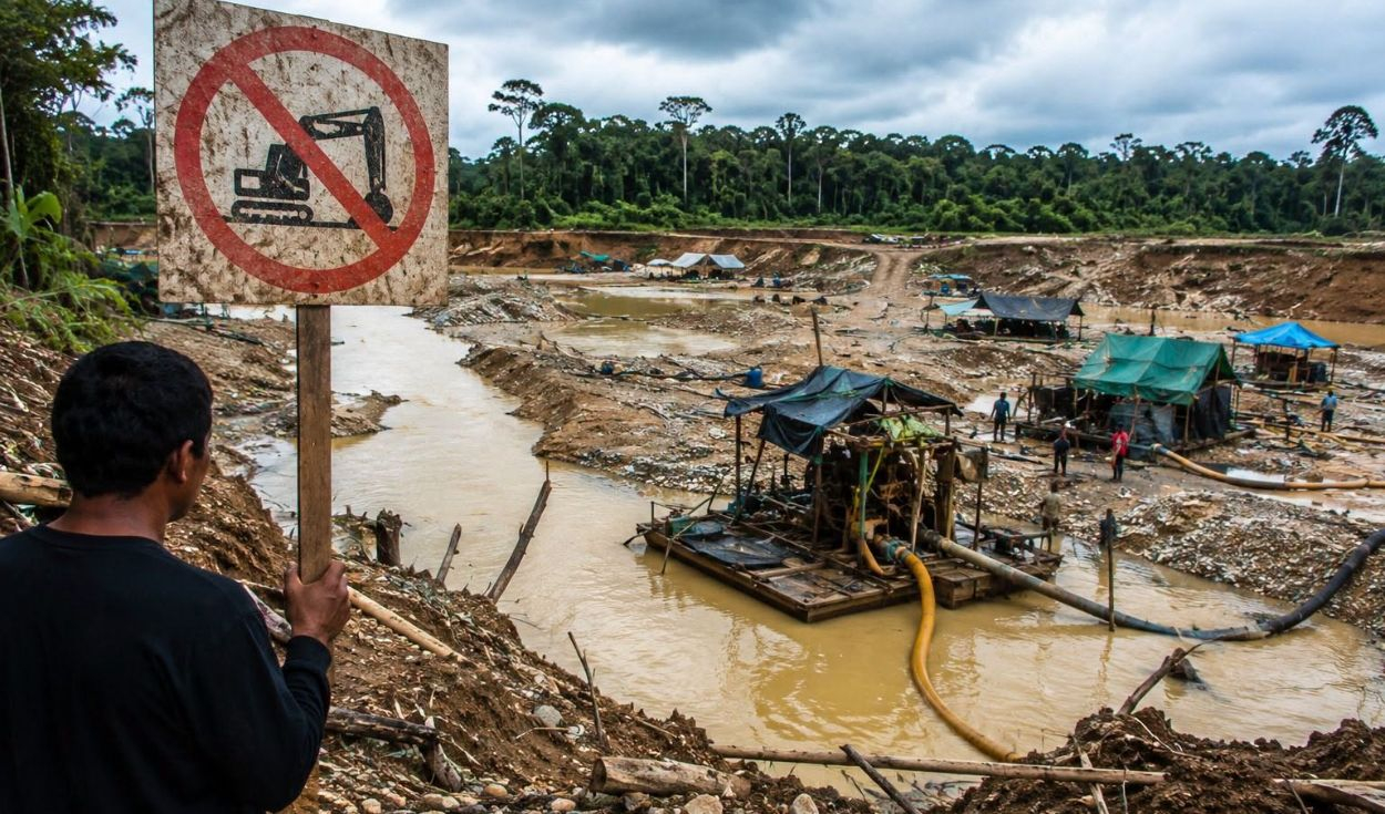 Organized crime and Amazon debt: Peru's next government faces environmental challenges