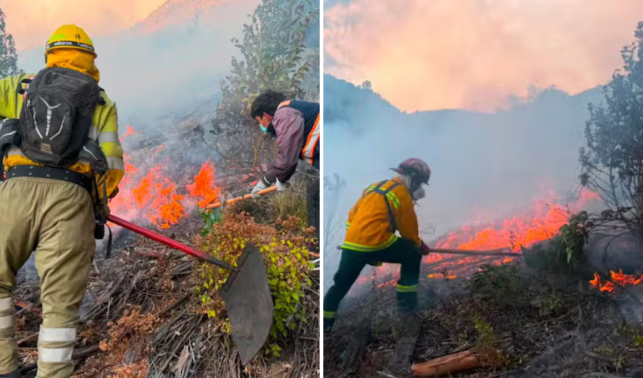 Suspect captured for Sacsayhuamán fire; blaze consumed three hectares of crops in Cusco