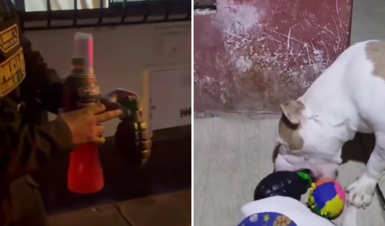 Los Olivos residents mistake dog toy for grenade, triggering police alert
