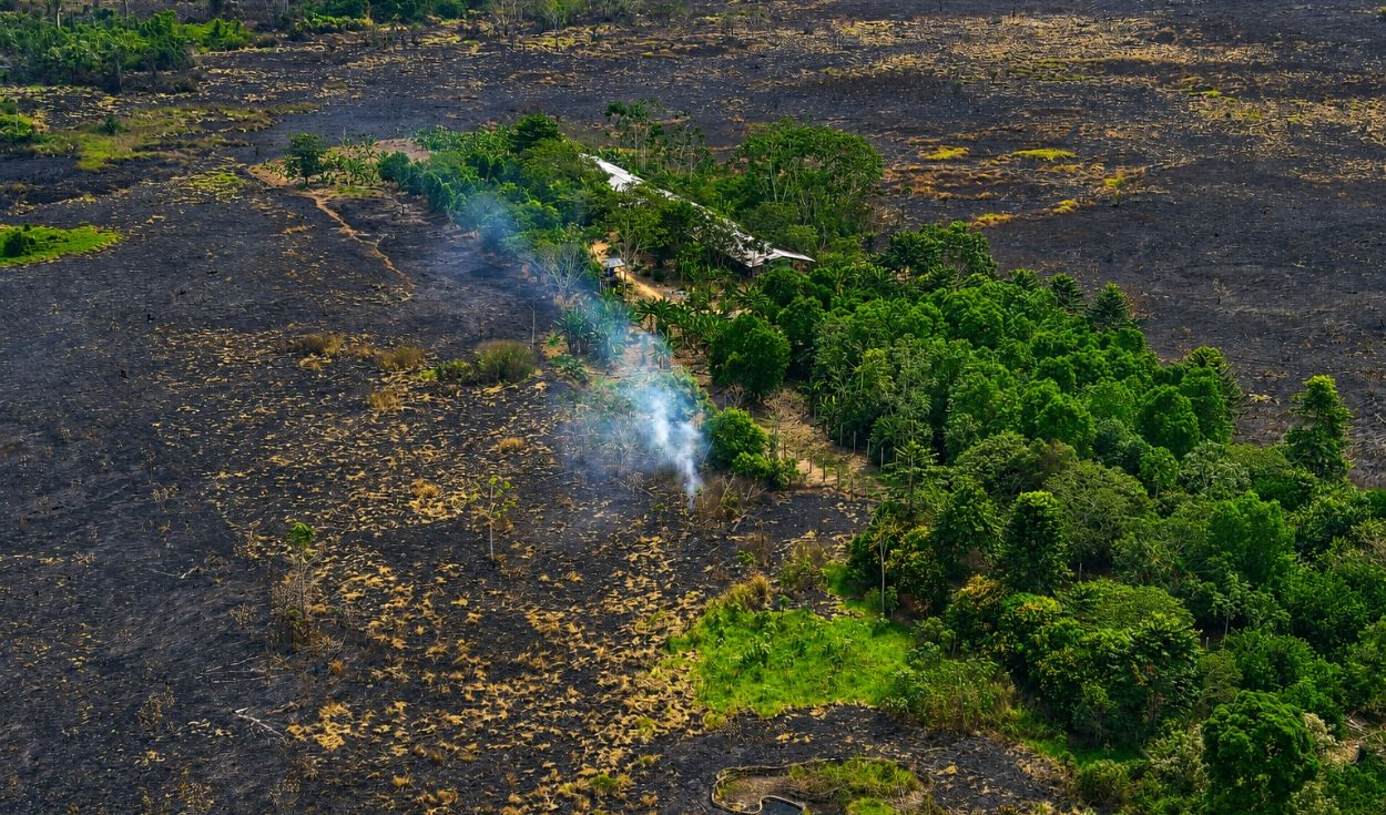 Peruvian Amazon Faces Heightened Forest Fire Risk Amid El Niño Warnings