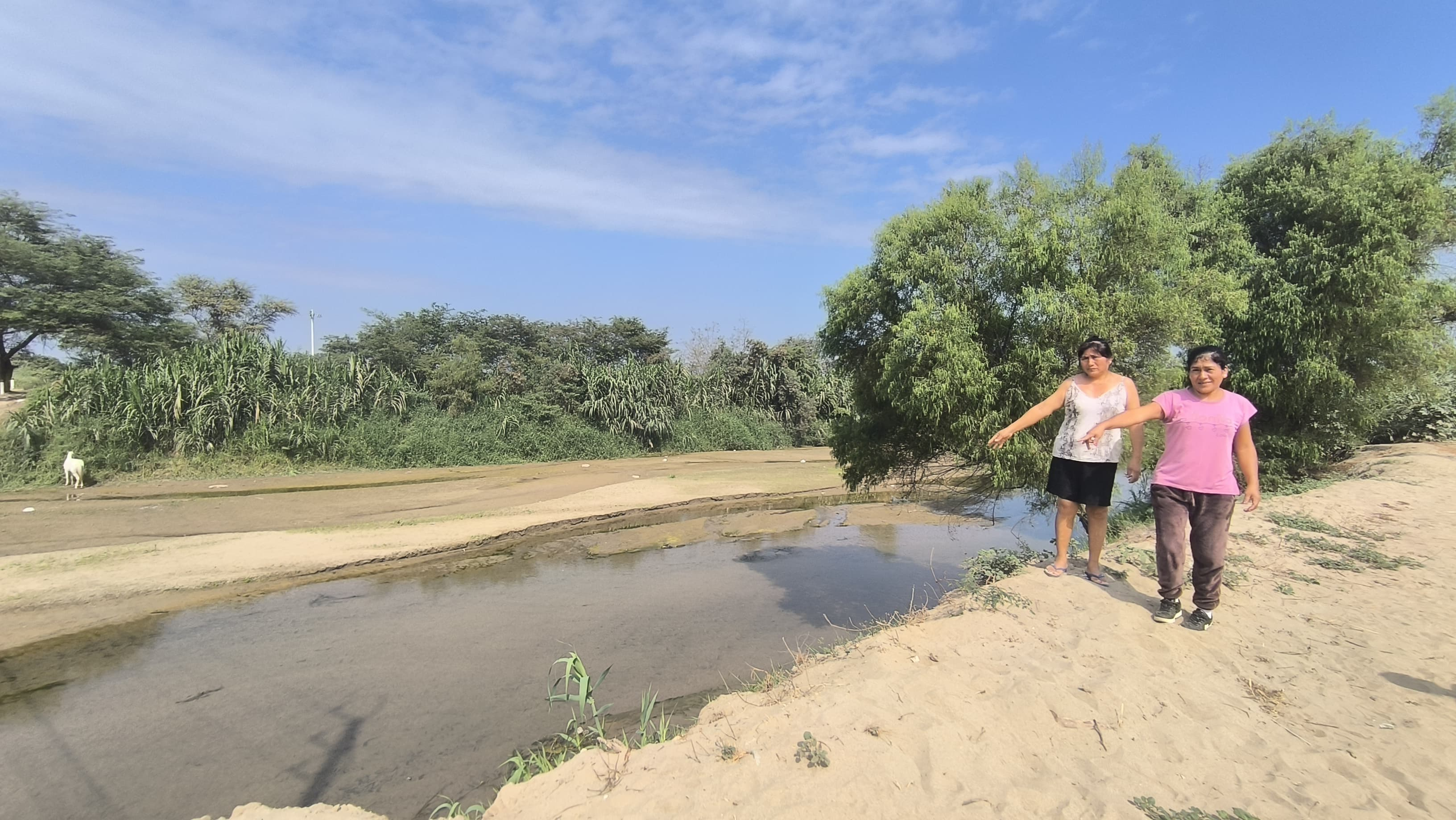 Alcalde de Íllimo responsabiliza a la ANIN por falta de defensas ribereñas en la cuenca Fenómeno El Niño: desborde del río La Leche dejaría en desgracia a cientos de familias en Lambayeque
