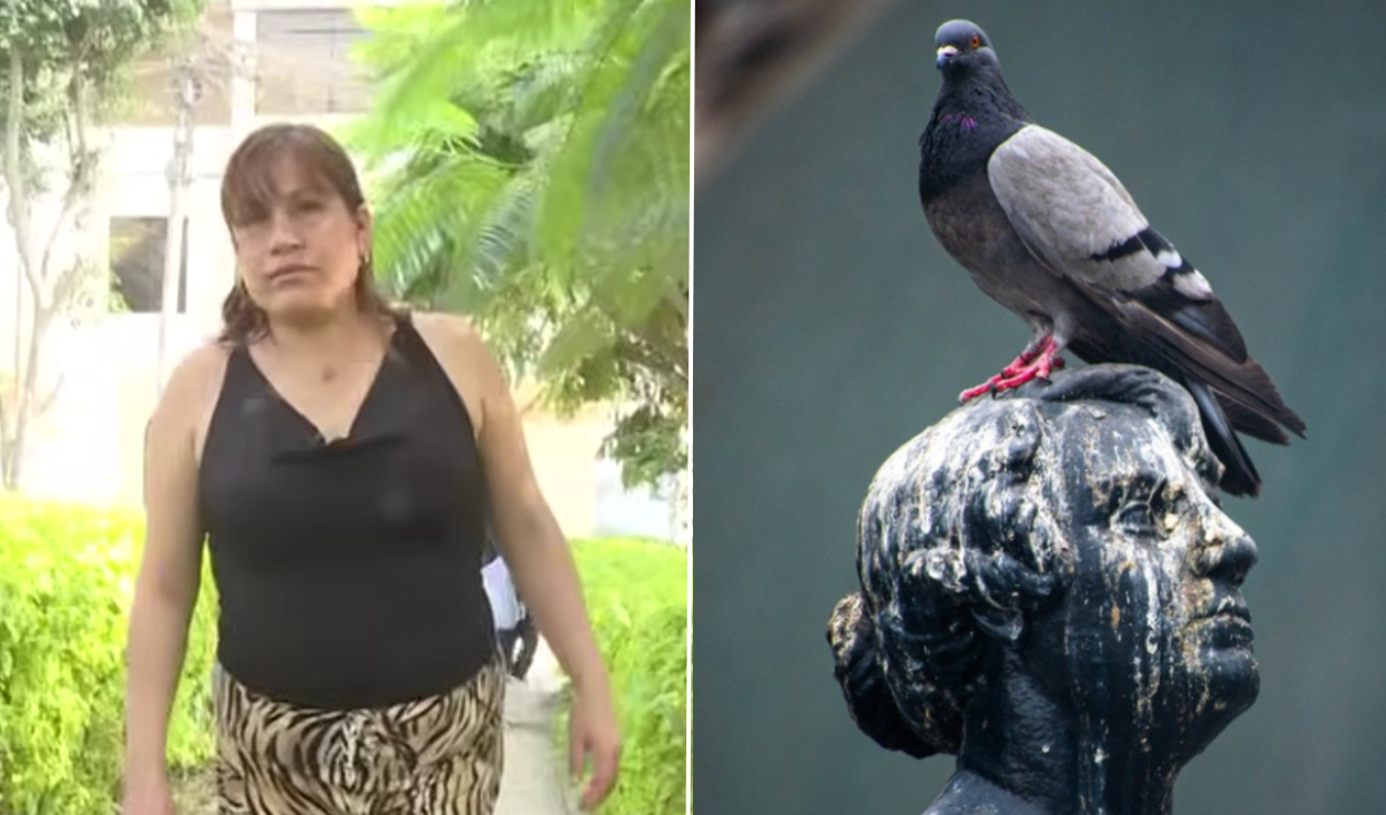 Woman loses toe to fungus from pigeon droppings in Peru