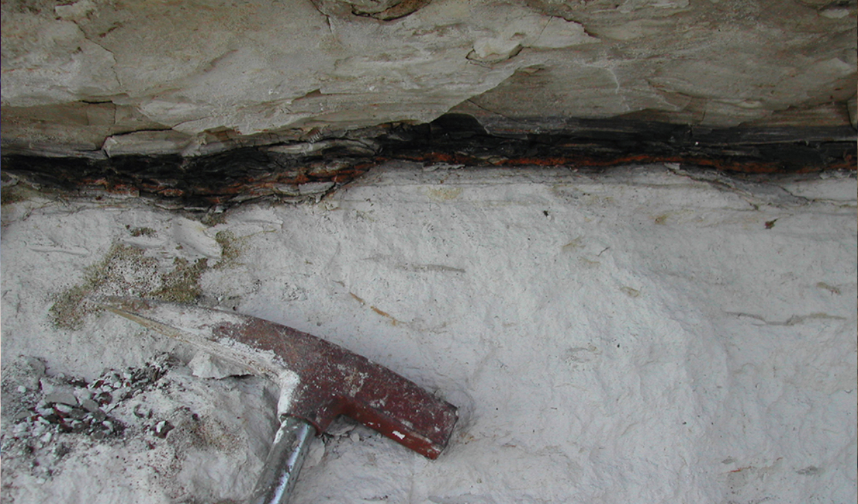 Residuo del impacto del Cretácico-Paleógeno. Capa límite KT oscura y rica en arcilla en Stevn's Klint, Dinamarca, utilizada en el estudio. Foto: Dr. Philippe Claeys.