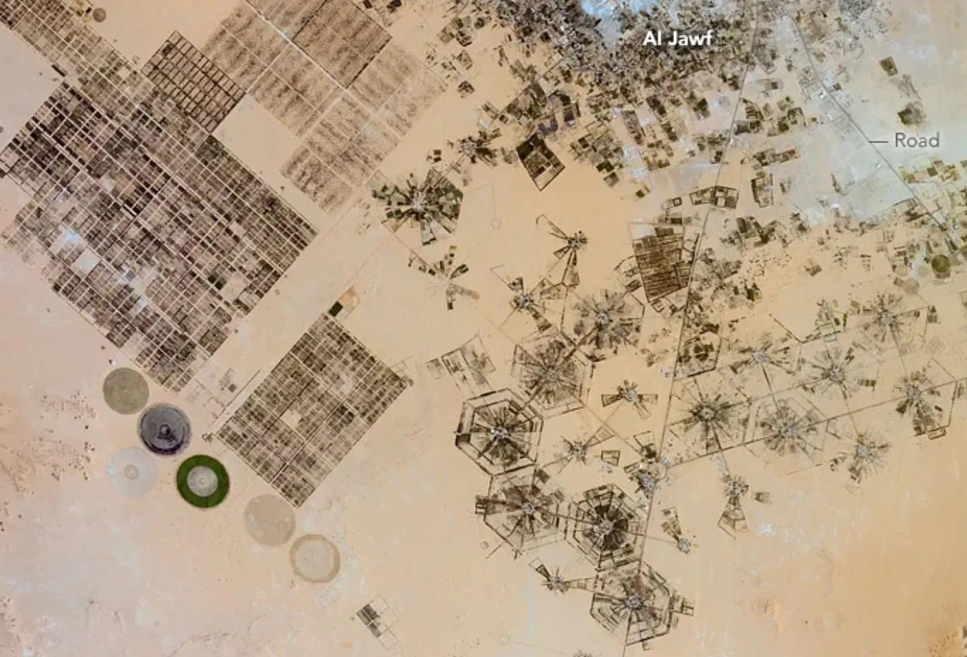 Sistemas de riego del acuífero de Nubia en Al Yauf, Libia, vistos en una imagen satelital. Foto: NASA