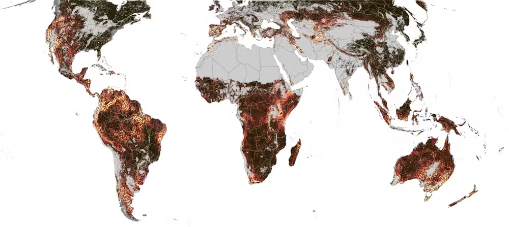 Puntos calientes de asincronía estacional: los colores más brillantes muestran regiones donde la sincronización de la actividad estacional varía considerablemente en distancias cortas. Foto: Terasaki Hart