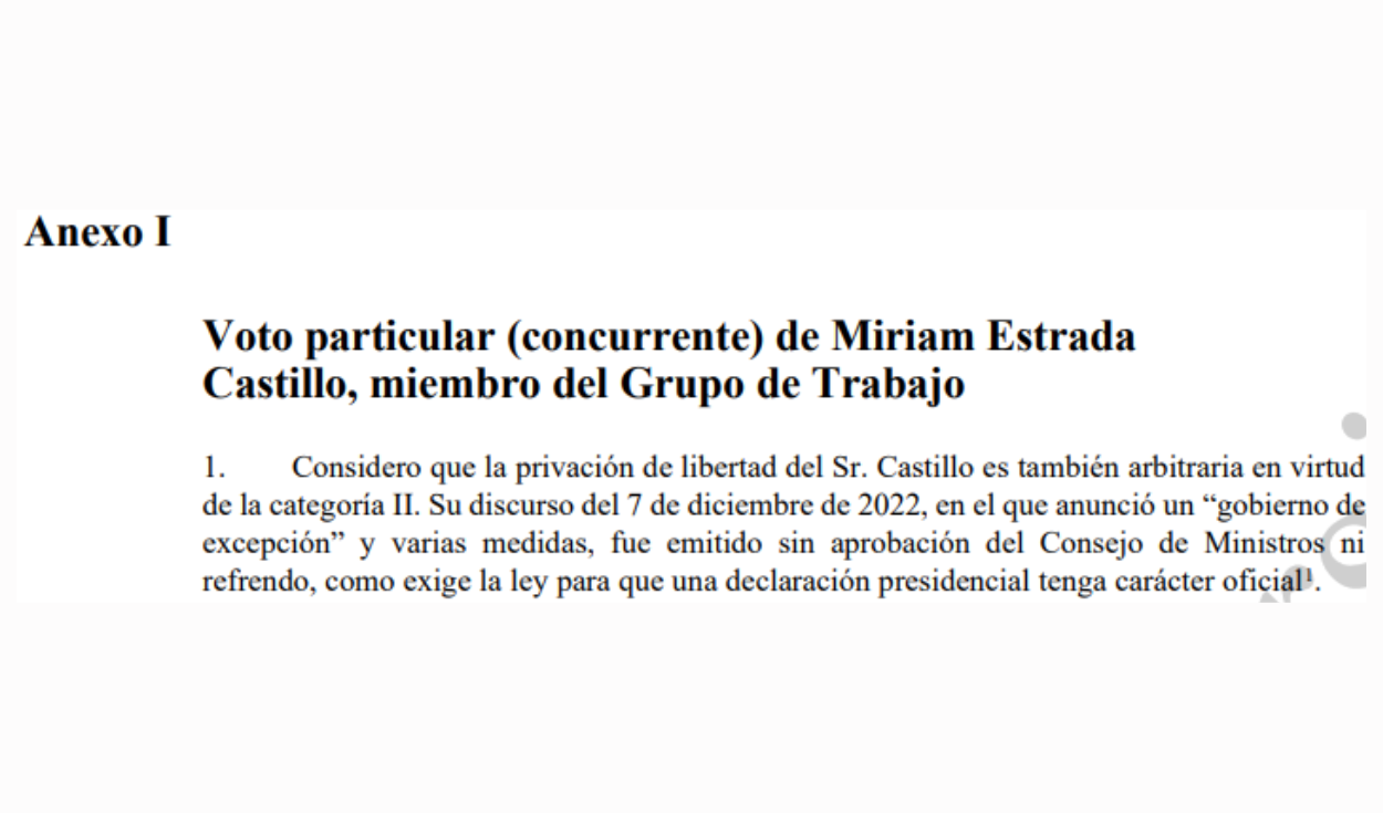 Privación de libertad del Sr. Castillo es arbitraria