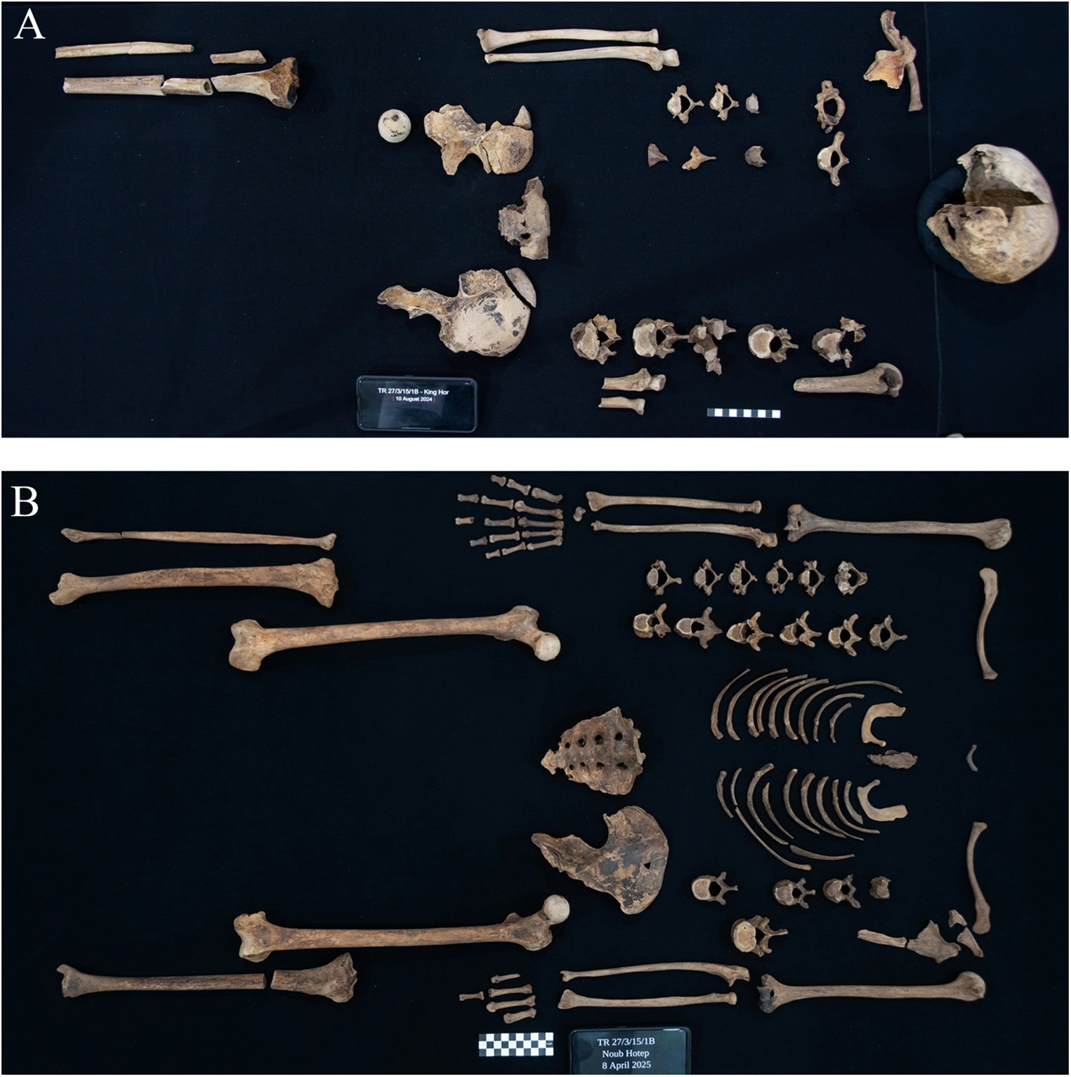 Ubicación de esqueletos de princesas: Ita (A), Khenmet (B), Itaweret (C) y Sathathormeryt (D, probable individuo 408). Foto: Frontiers in Environmental Archaeology