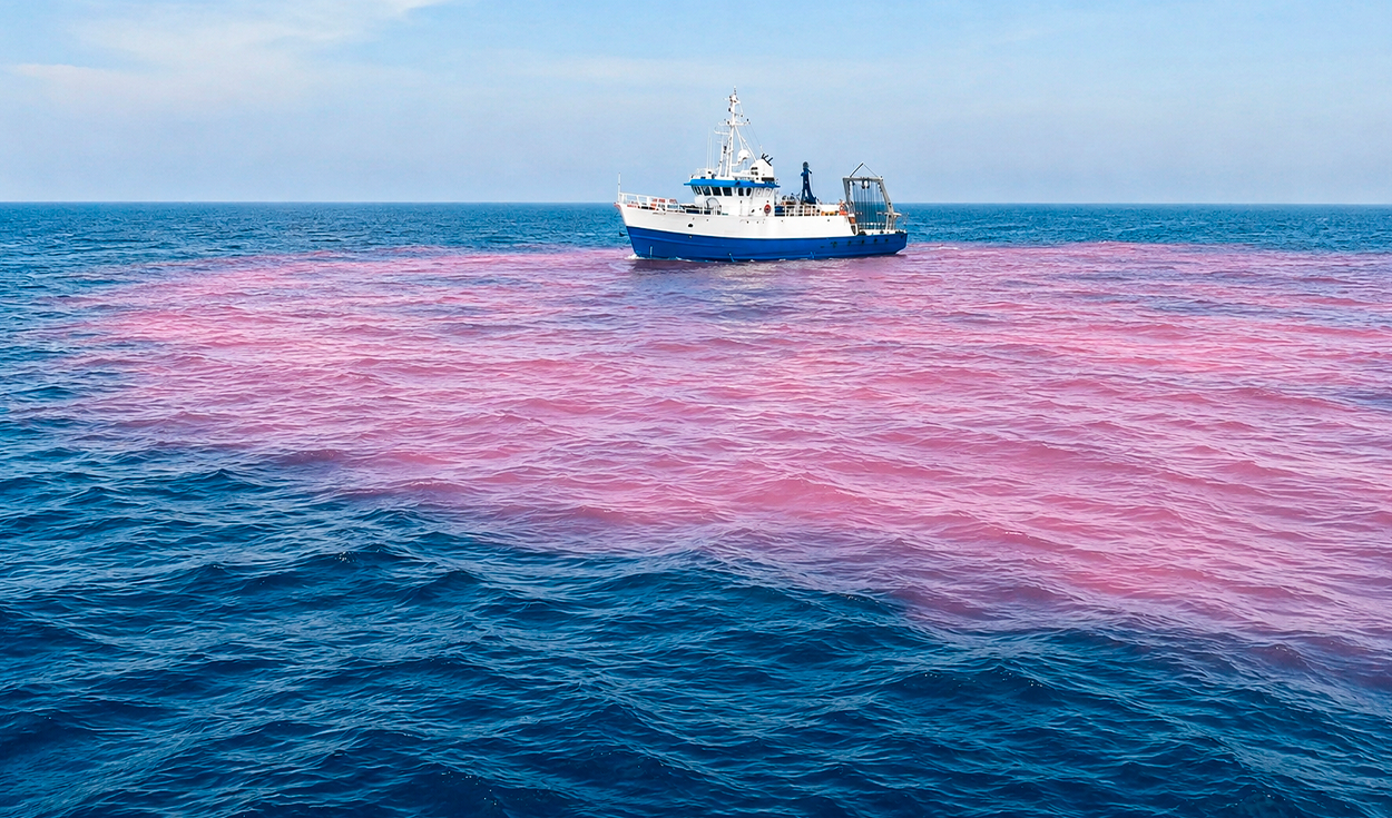 Scientists Dump 16,500 Gallons of Caustic Soda in Ocean to Fight Climate Change