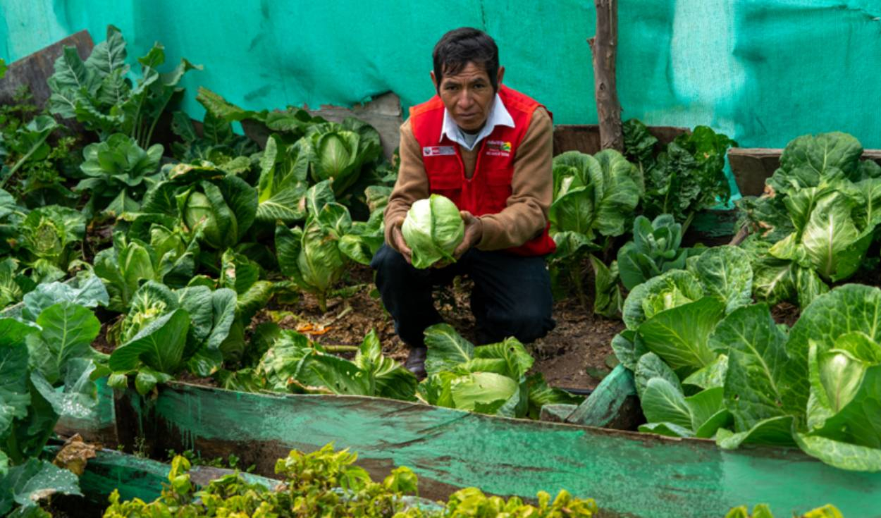 Además, se llevaron a cabo mejoras en viviendas saludables y emprendimientos rurales inclusivos. Foto: difusión. Haku-Wiñay