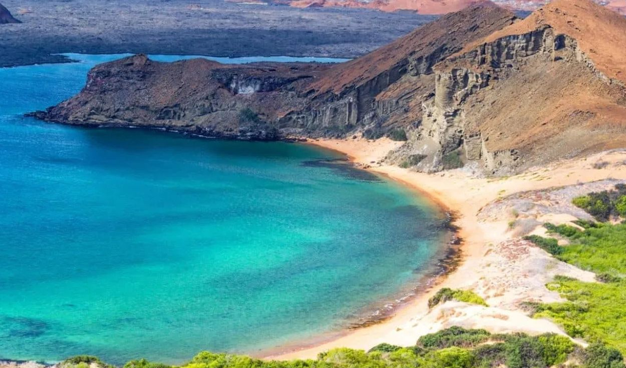 Su erradicación se volvió vital para la biodiversidad de la región.
