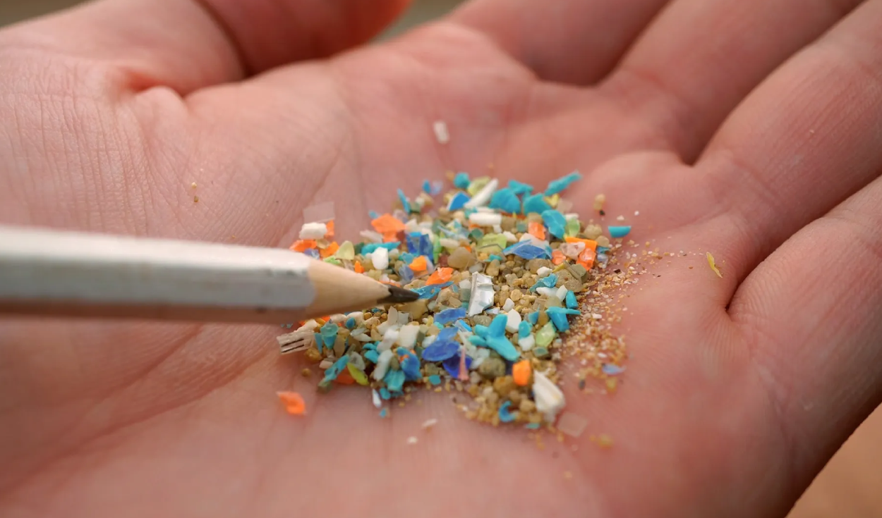 Chinese Scientists Detect Microplastics in Human Arteries