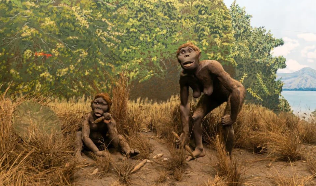 Human DNA contains traces of two unknown ancient hominins