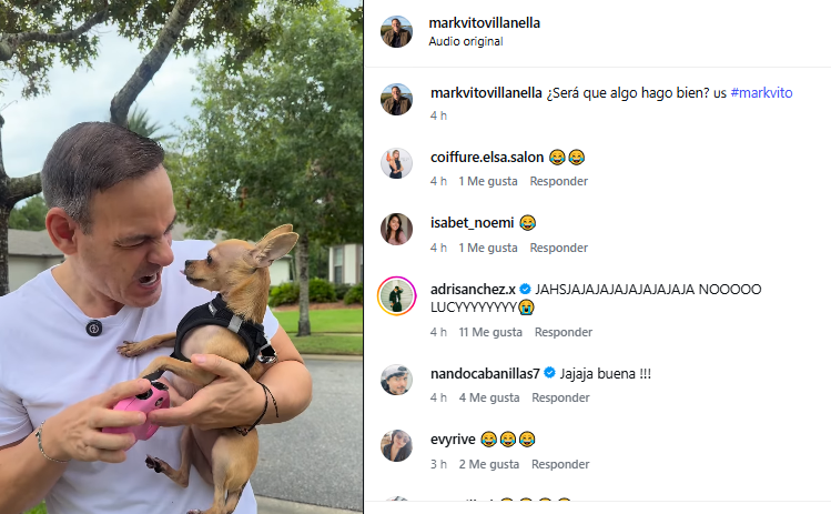Mark Vito como cuidador de perros. Foto: Instagram Mark Vito