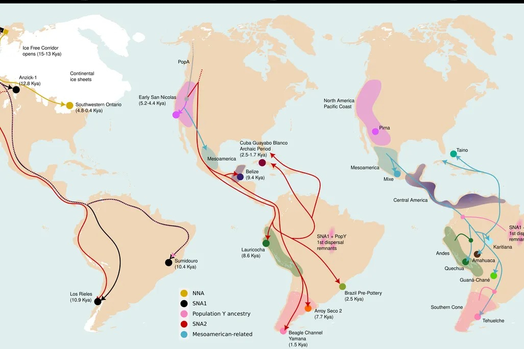 La investigación identificó una migración clave que ocurrió hace al menos 1.300 años, un evento clave para la configuración biológica de América. Foto: Smithsonian Magazine