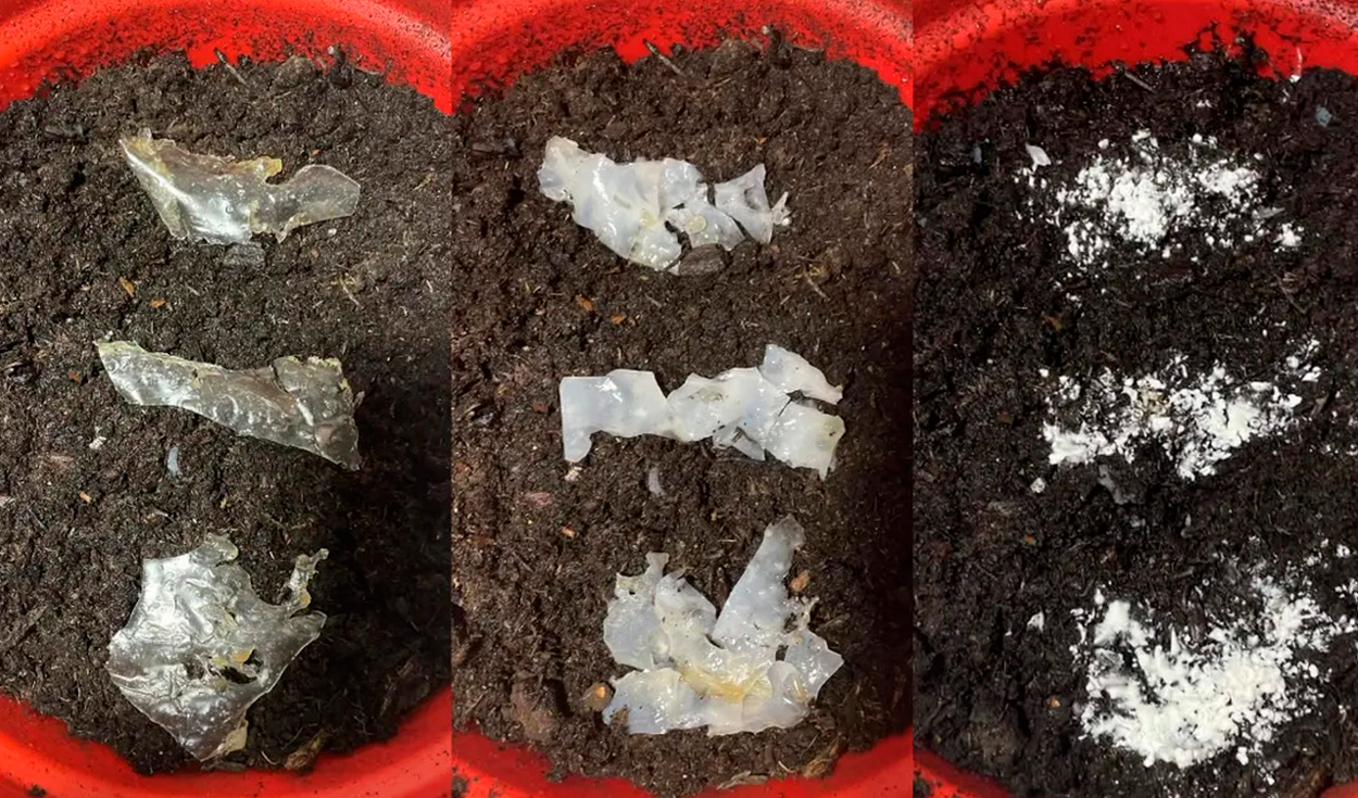 Esta imagen muestra tres fases de la biodegradación del plástico en el suelo. Eco Purge libera su enzima en el medio ambiente para descomponer otros microplásticos. Foto. The Earth Prize