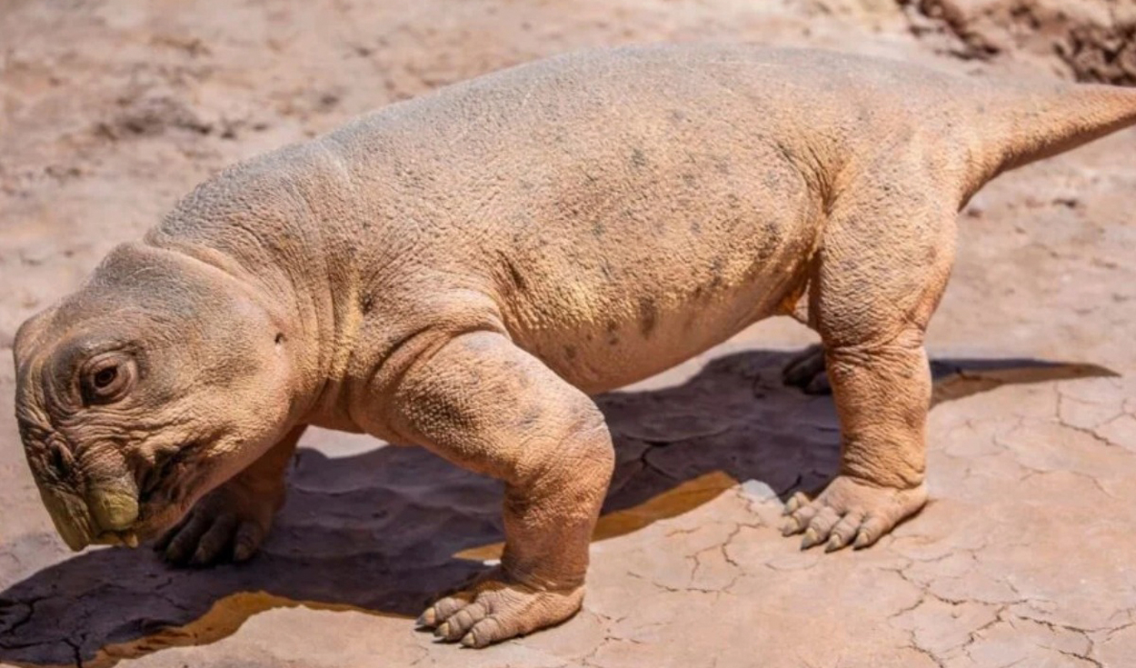 Lystrosaurus egg fossil reveals ancient survival strategy