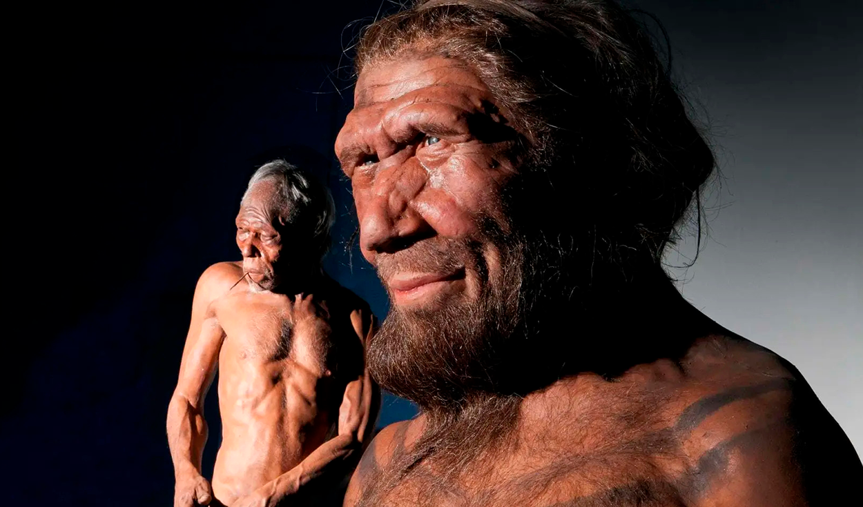 Neanderthal Gene Shapes Muscle and Jaw in Modern Humans