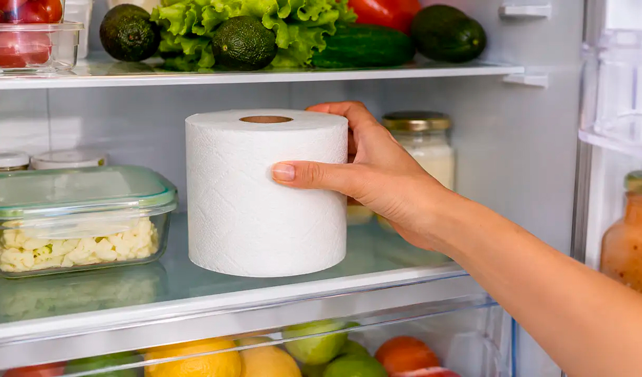 Toilet paper rolls in fridges help trap summer moisture