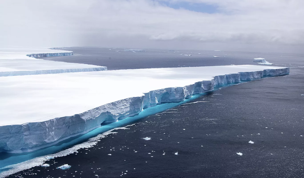 Antarctic Icefish Build Geometric Seabed Nest Patterns
