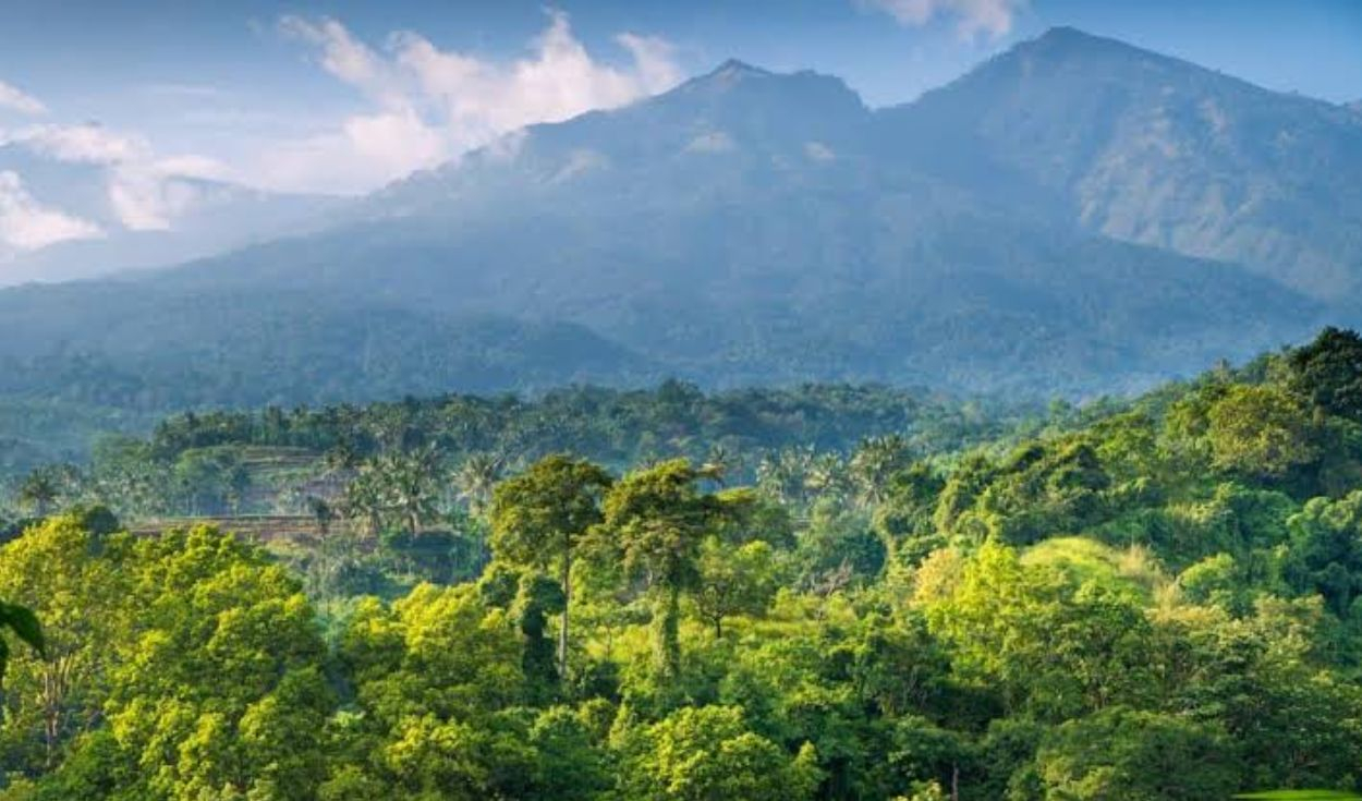El megaproyecto urbano que cambiará la estructura de un país: se levanta en plena selva, costará US$33.000 millones y beneficiará a 1,9 millones