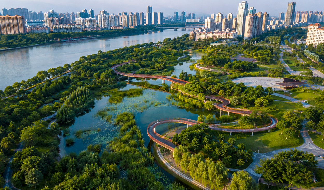 Sponge cities absorb stormwater to cut urban flooding