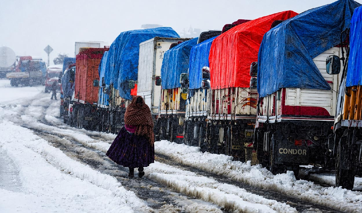 Nevadas golpean Bolivia y dejan más de 26.000 familias afectadas y miles de animales en riesgo por el frío
