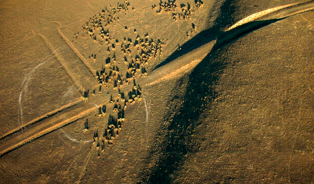 San Andreas Fault Activated by Distant Earthquakes