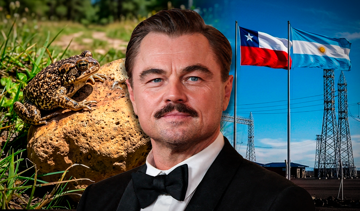 El proyecto eléctrico entre Chile y Argentina que Leonardo DiCaprio llamó "catastrófico" y terminó paralizado por un insólito motivo