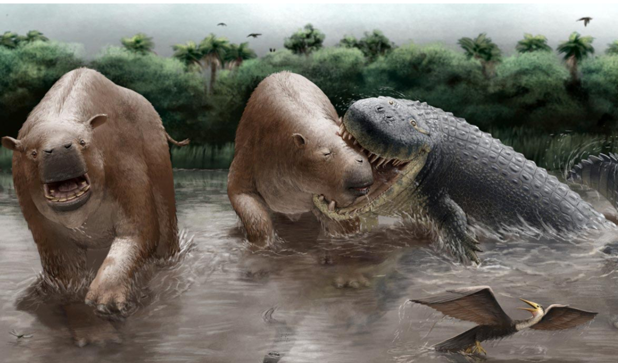 Giant Crocodiles Ruled South America 10 Million Years Ago
