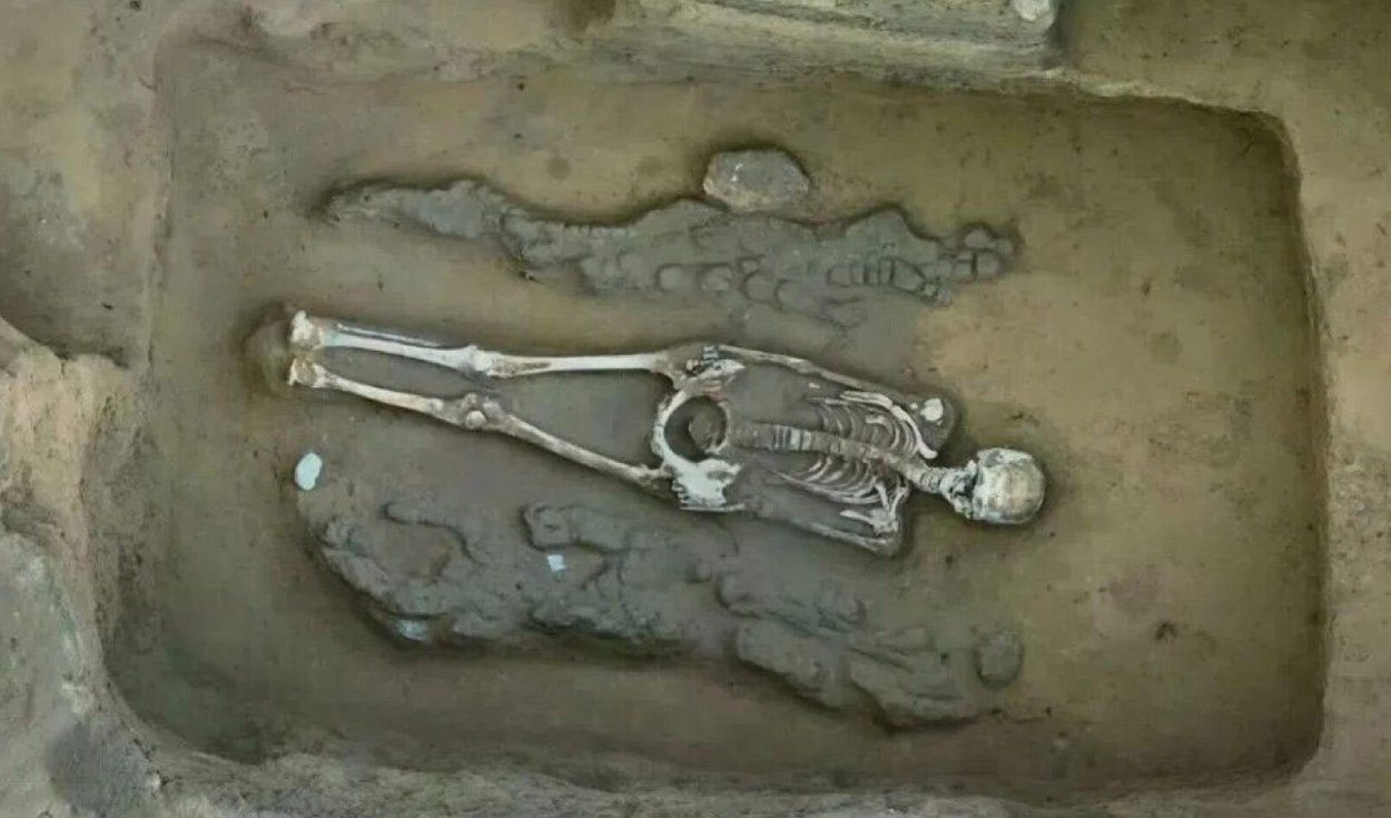 Ancient Chinese Tomb Reveals Oldest Dragon-Phoenix Pair