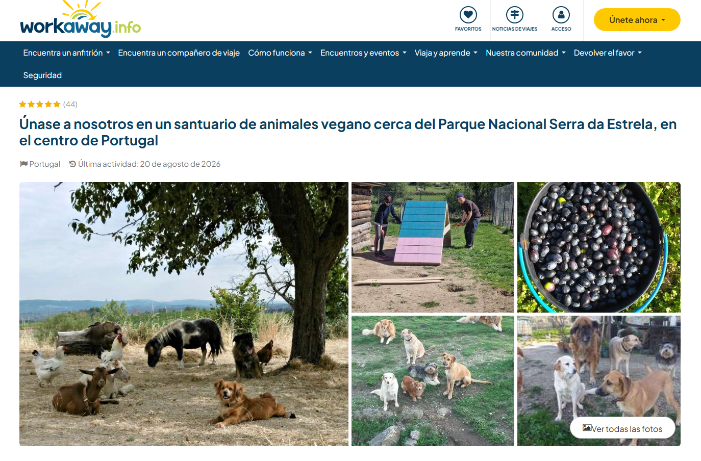 La labor incluye atención a mascotas y mantenimiento del refugio en Portugal. Foto: Workaway/captura