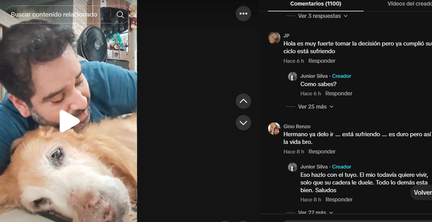 Ante las reacciones de sus seguidores sobre la situación de su perro, Junior Silva enfatiza que Bronco sigue deseando vivir, aunque su salud sea un desafío.