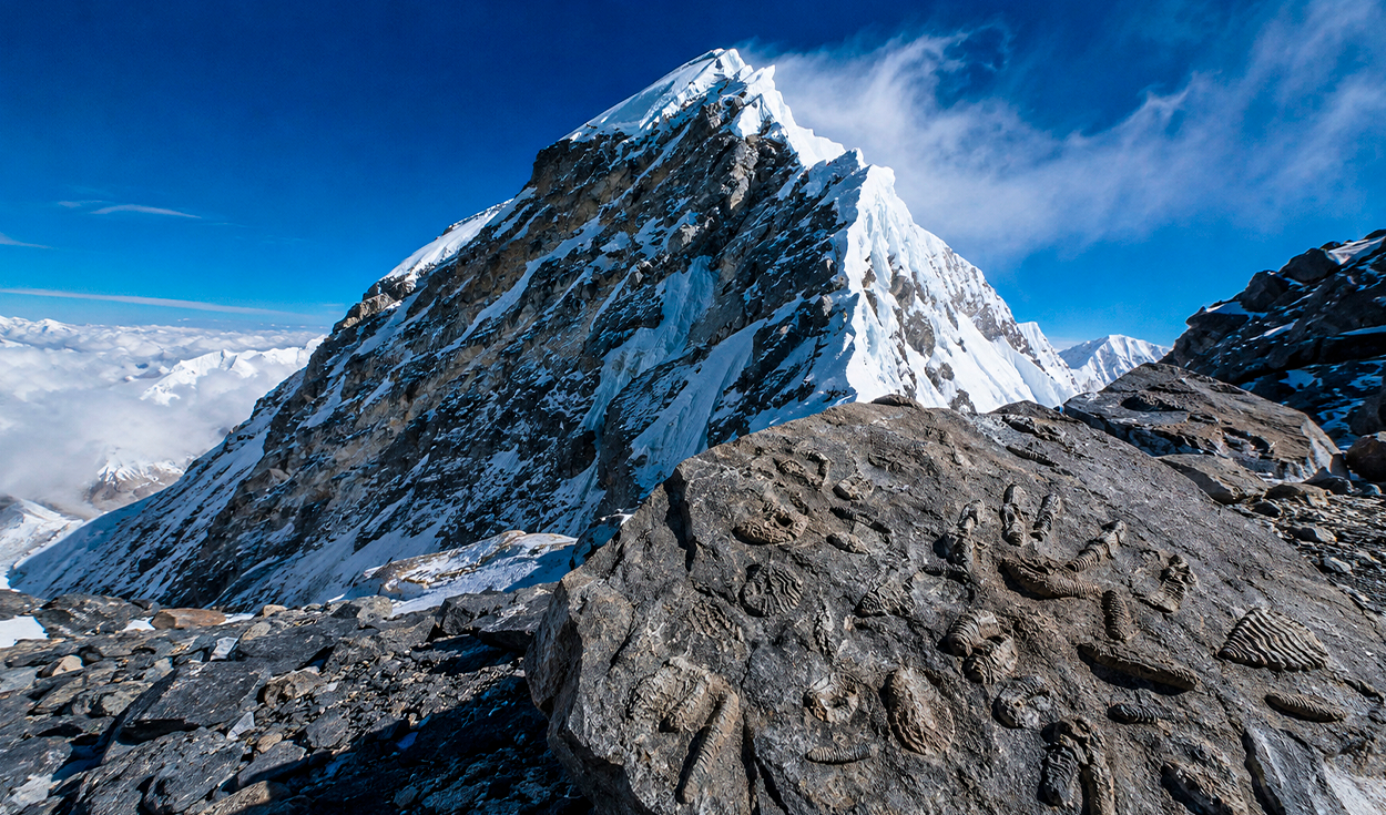 Mount Everest marine fossils reveal ancient oceanic origins