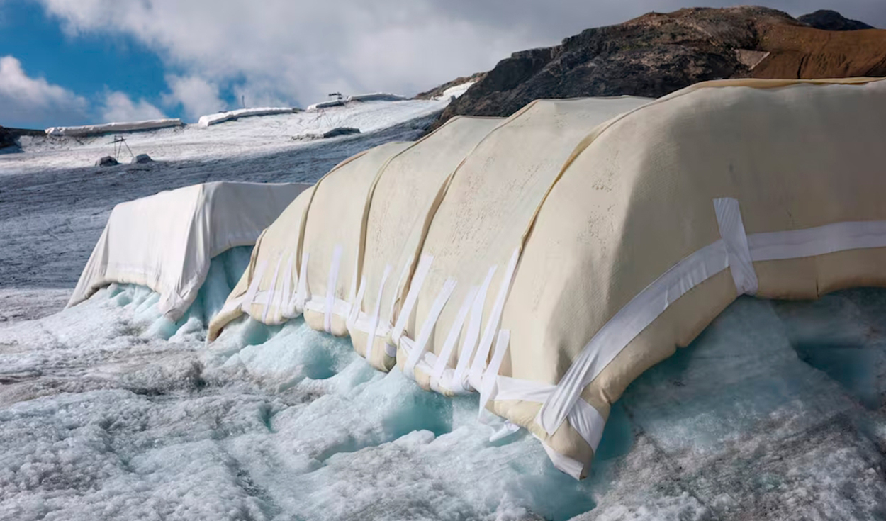 Un lugar de prueba de protección contra la nieve cubierto de lana de oveja. Foto: Keystone-SDA